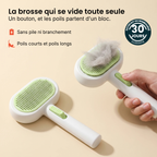Brosse Auto-Nettoyante