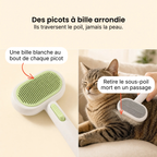 Brosse Auto-Nettoyante