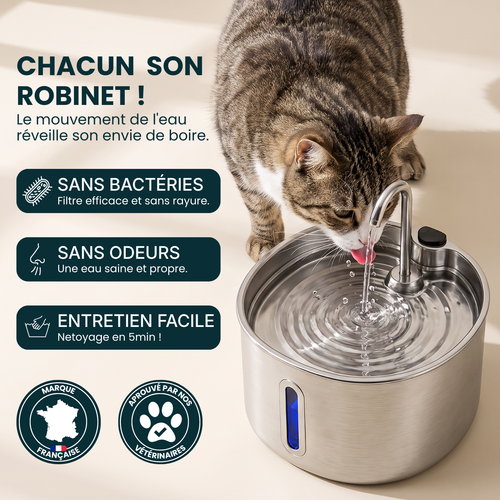 Fontaine À Eau Pour Chat Stimulante et Silencieuse