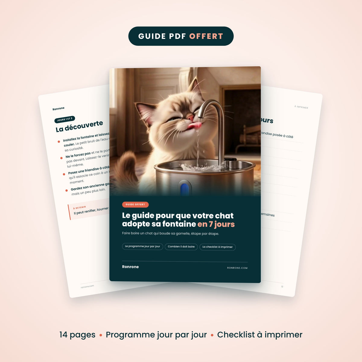 Guide d’adoption fontaine en 7 jours